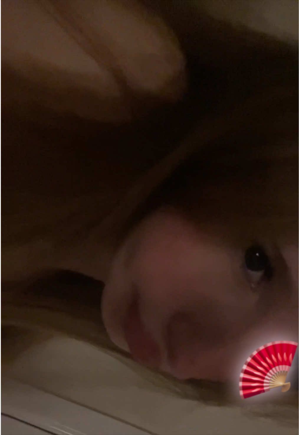 @トジ ᥫ᭡.