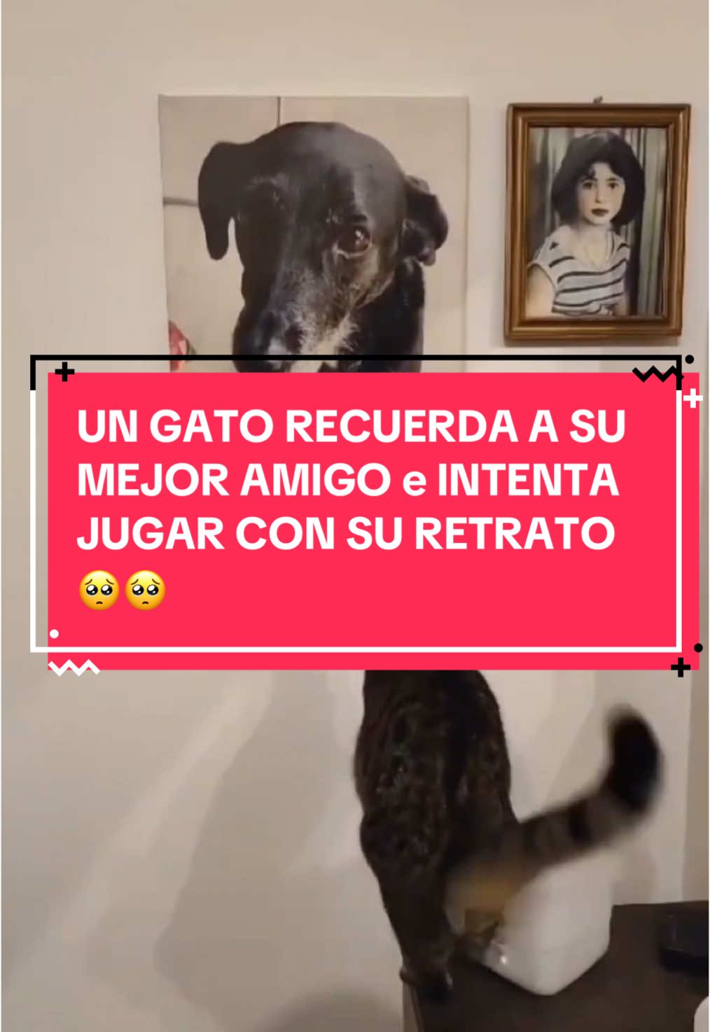 @maroci_b