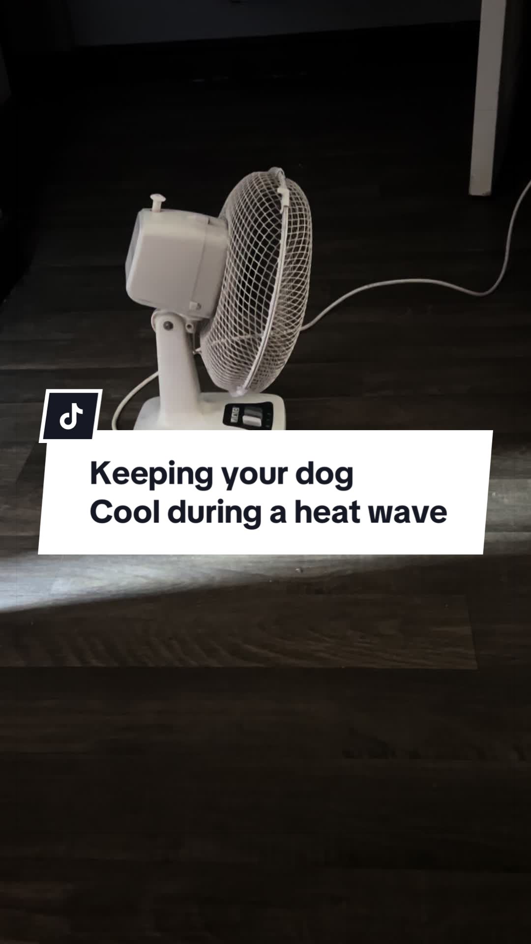 @Soph.webb2000