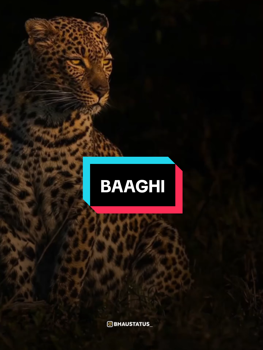 @𝐏𝐔𝐍𝐉𝐀𝐁𝐈𝐒𝐎𝐍𝐆𝐙🇮🇳