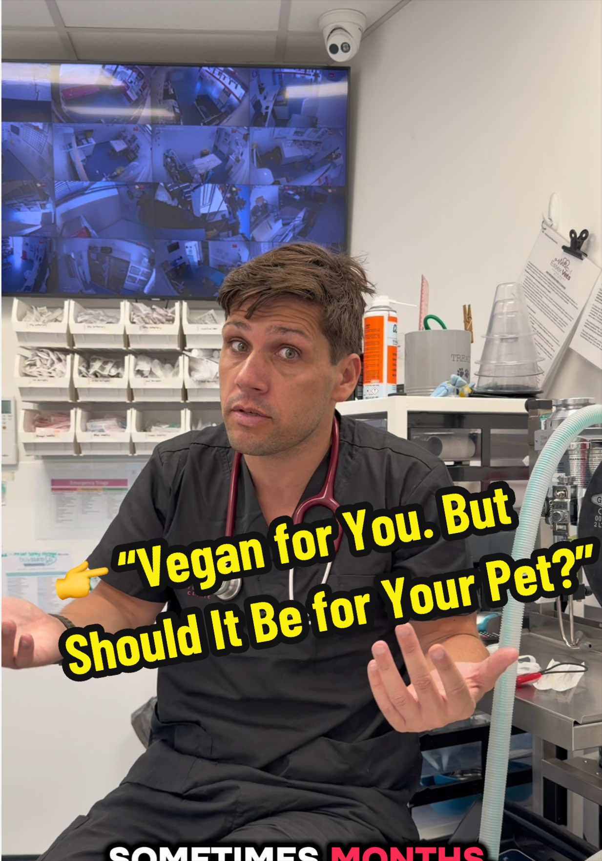 @Tomasthevet