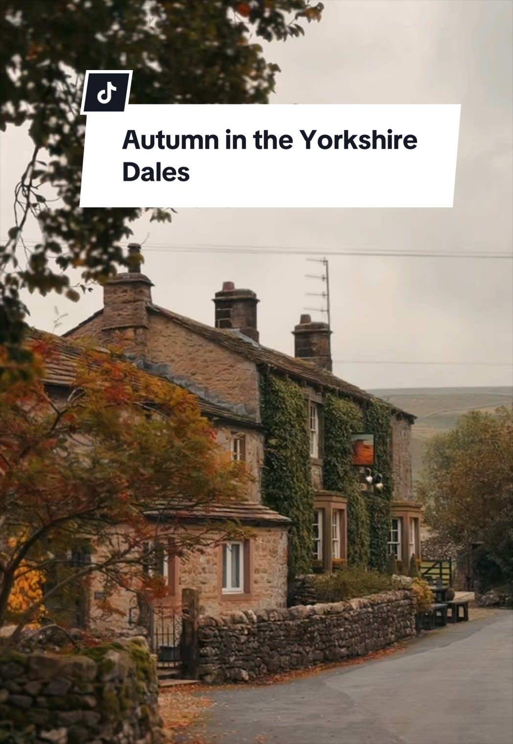 @The Yorkshireman