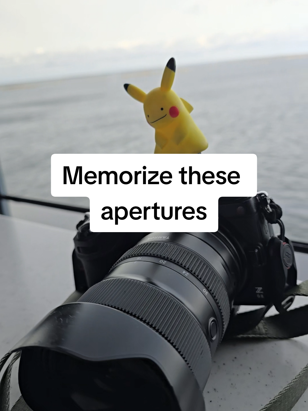 @Kim Exports JPGs