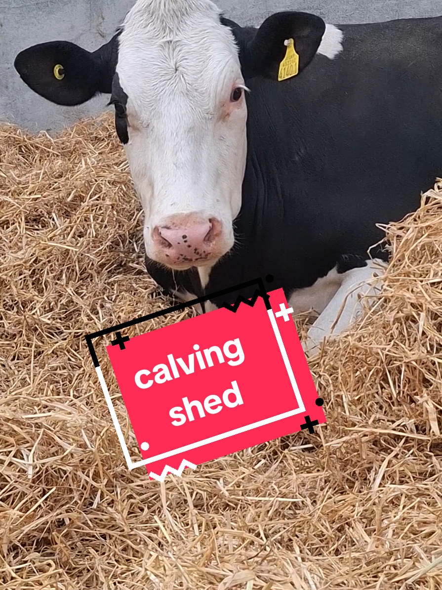 @FarmwithJack🐄 🚜