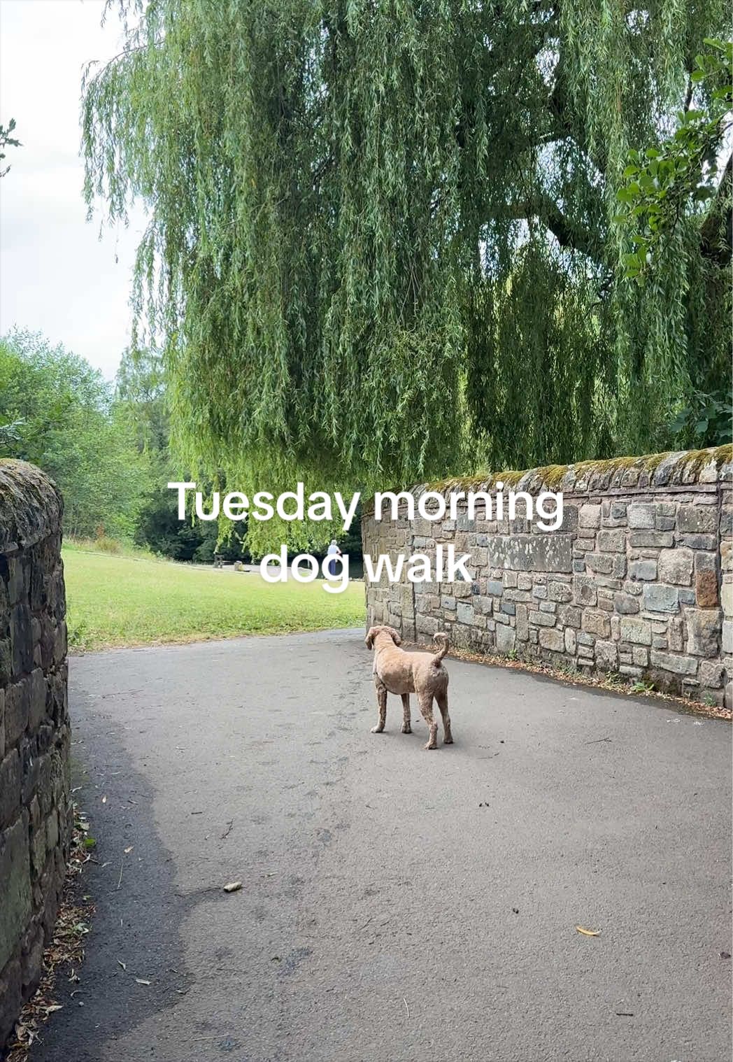 @Olivia | American in England