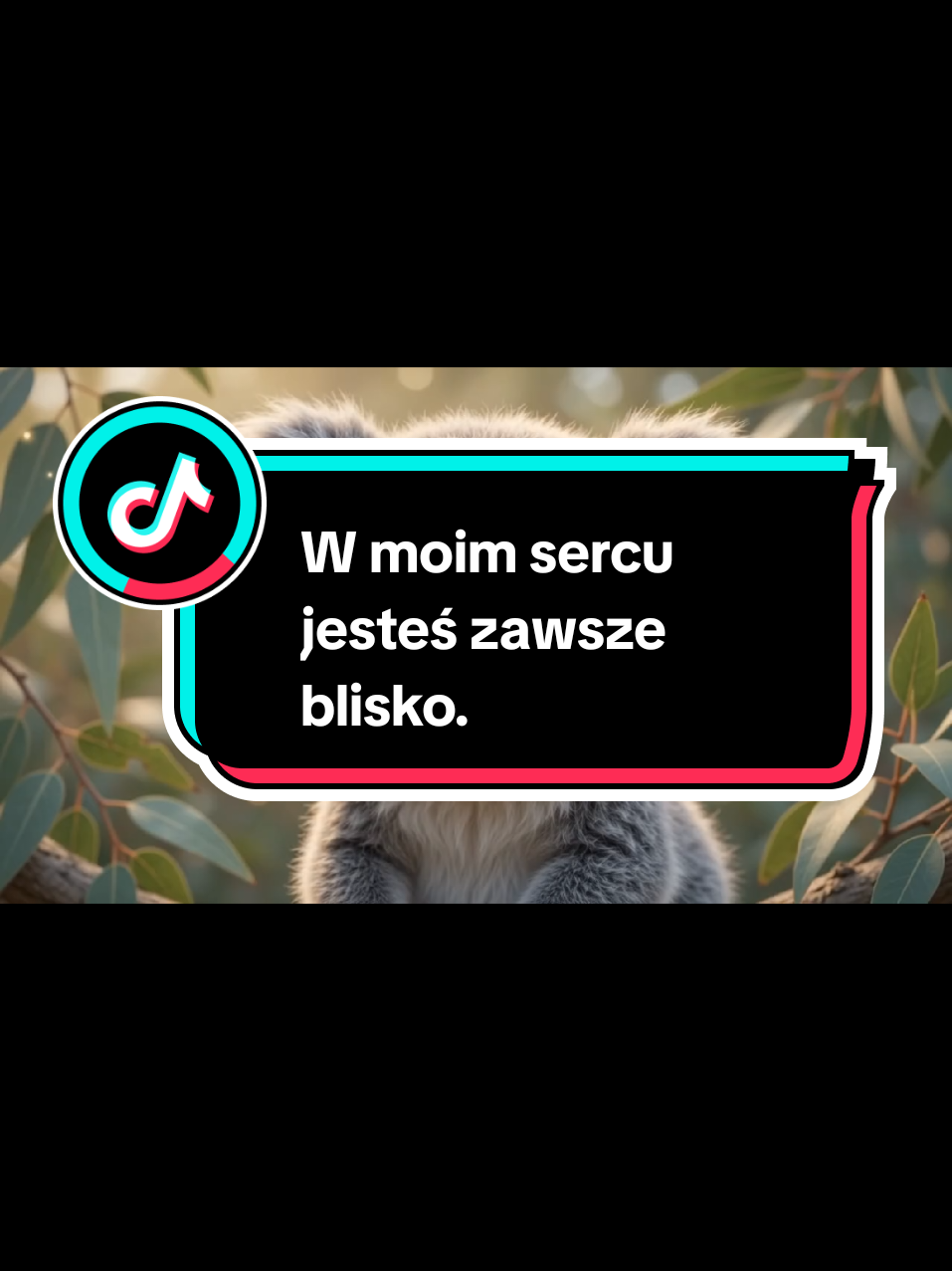 @Wesolutki 😎