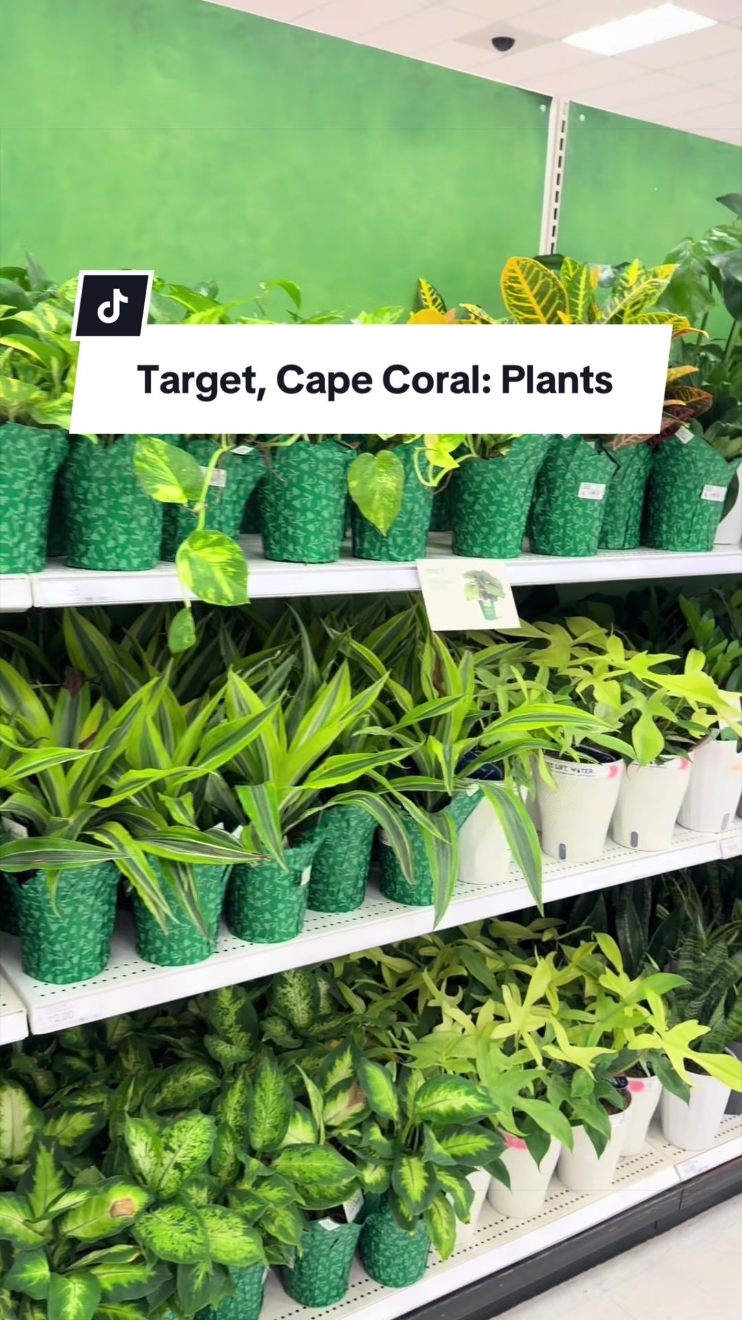 @Sarah Lou, Plants & Pets 🌿