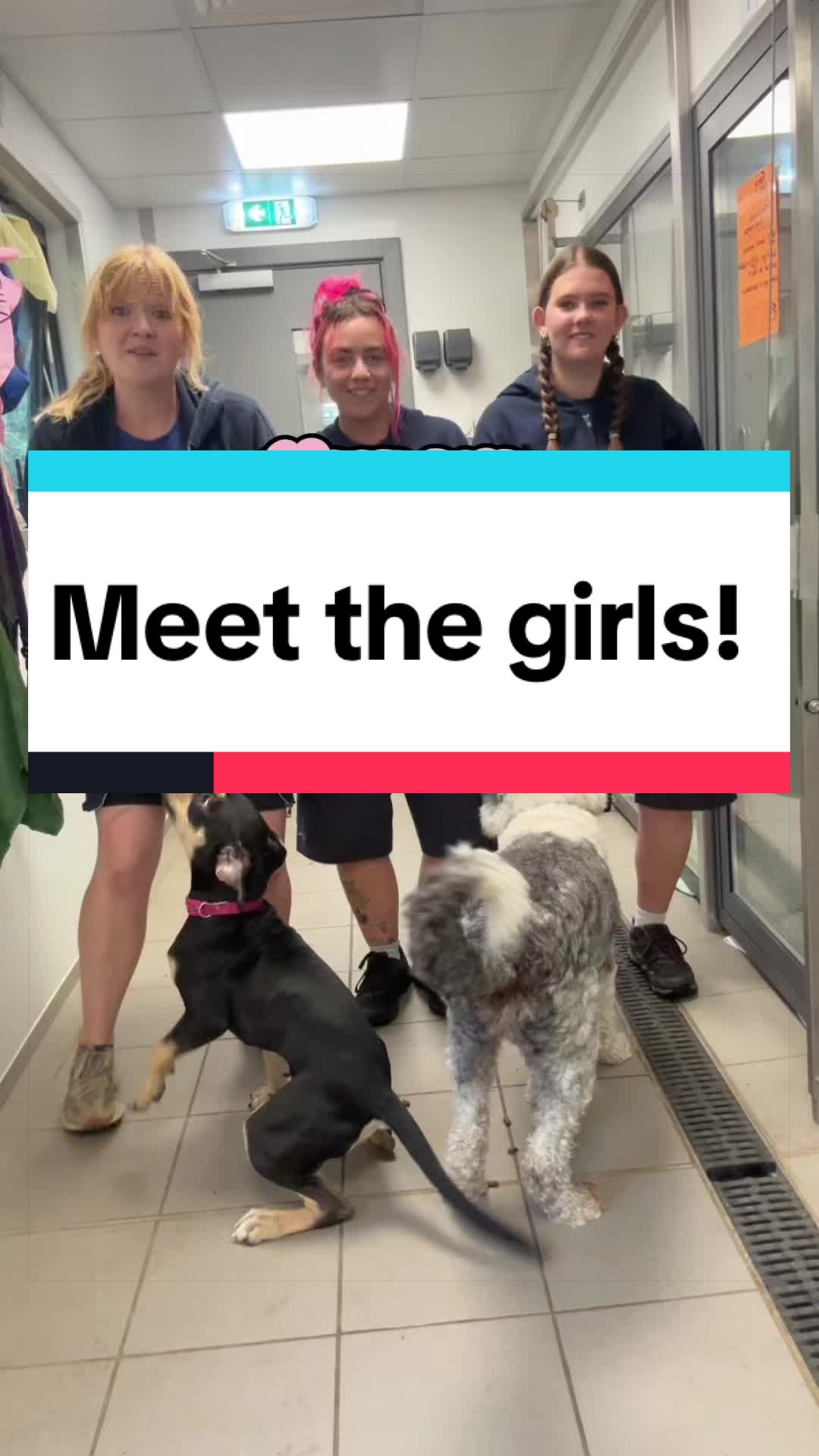 @RSPCA brighton