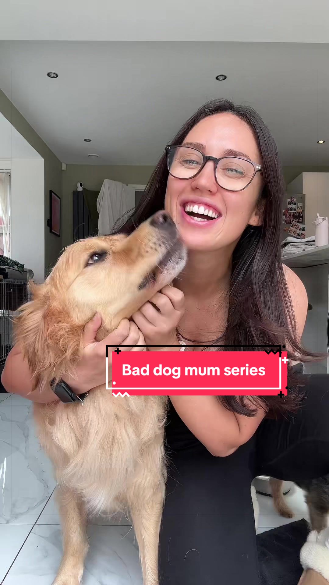 @Sheldon The Retriever