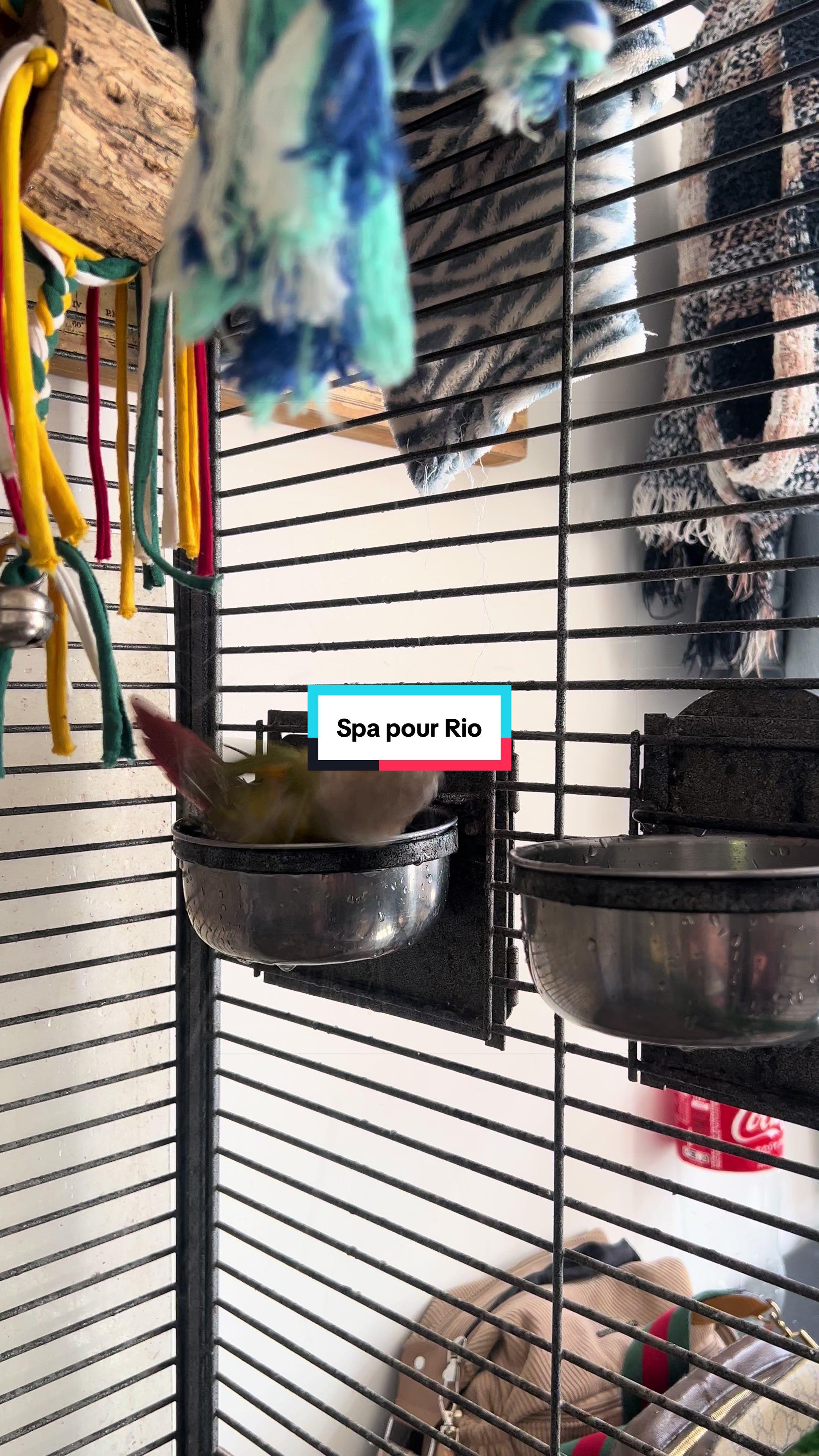 @Roman