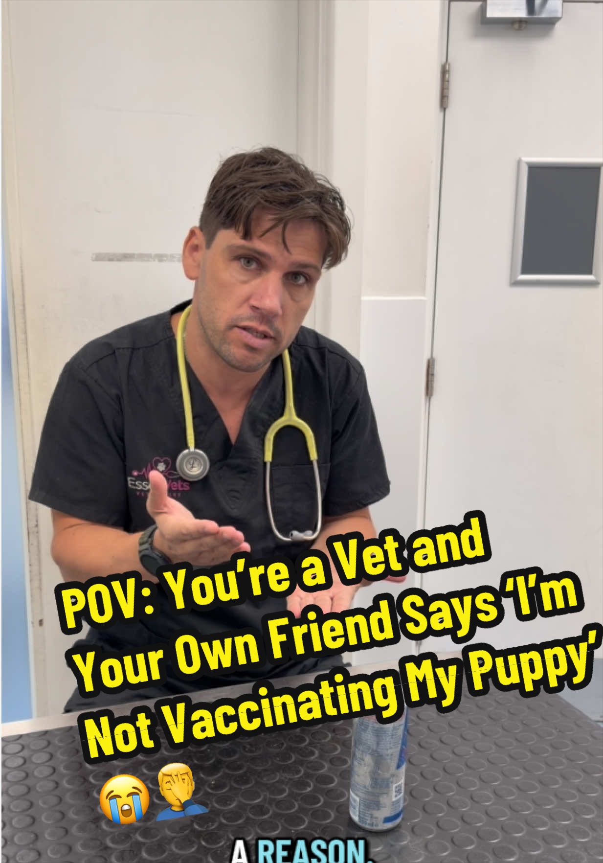 @Tomasthevet