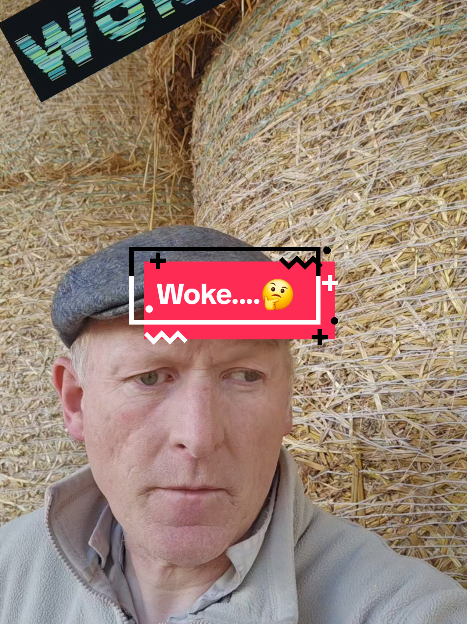 @Derek🐑🐄LEFTY🐄🐑