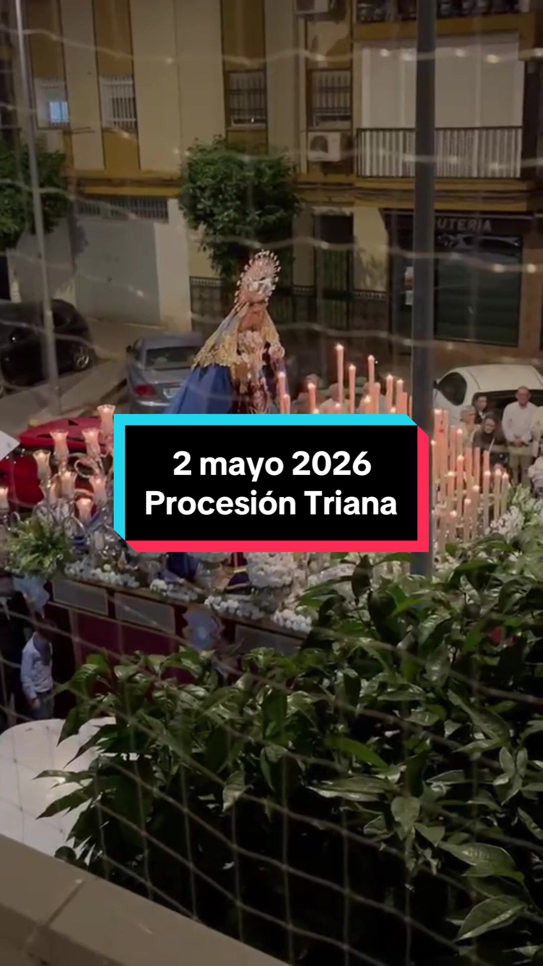 @Rosa Morgado