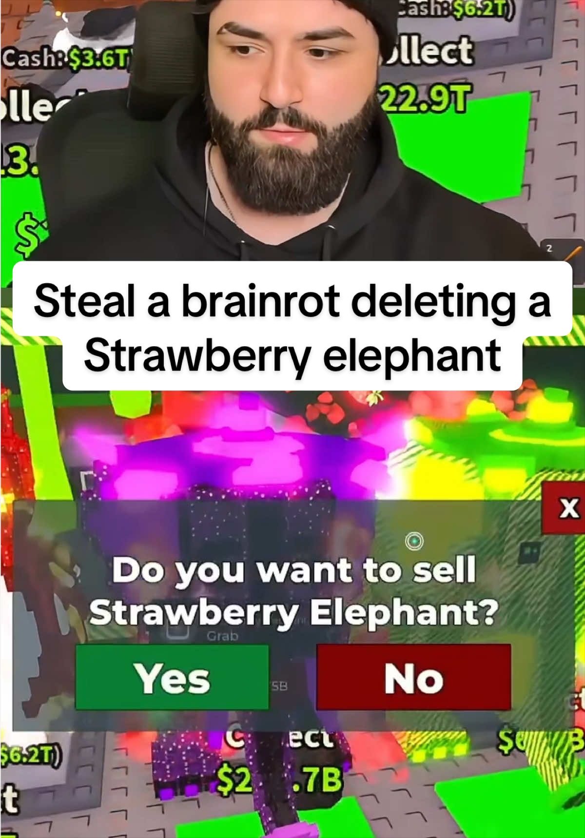 @Sxzxr