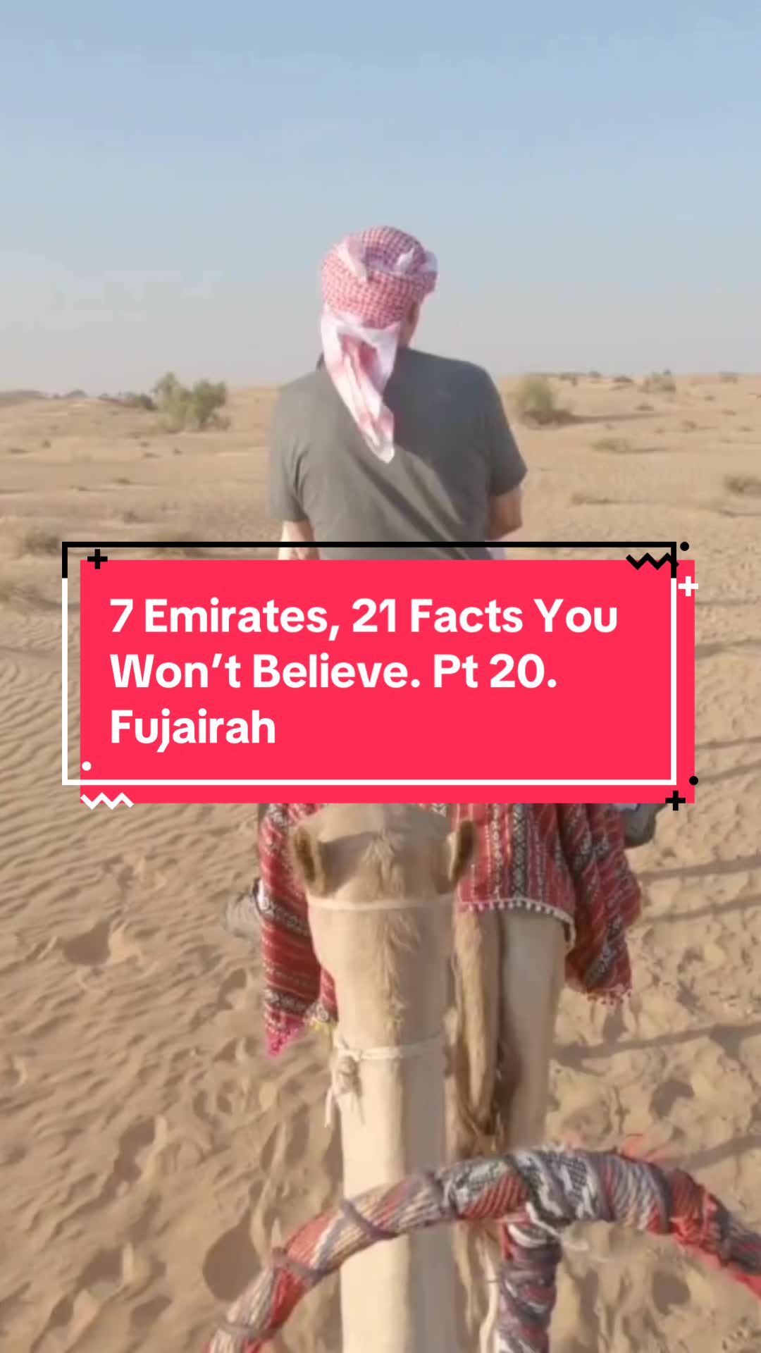 @uaeplaybook.com