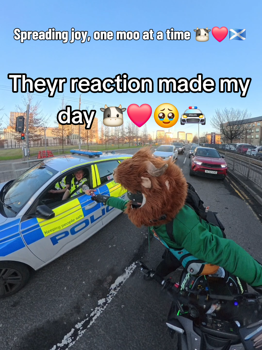 @Highland Cow Rider 🐮🏍