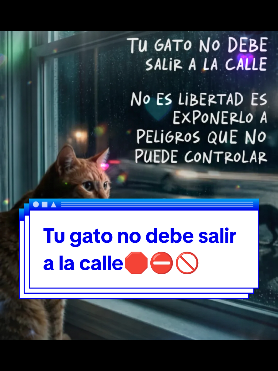 @❤️💛💜Nelo 2.0 🐈&zwj;⬛🐈🙀