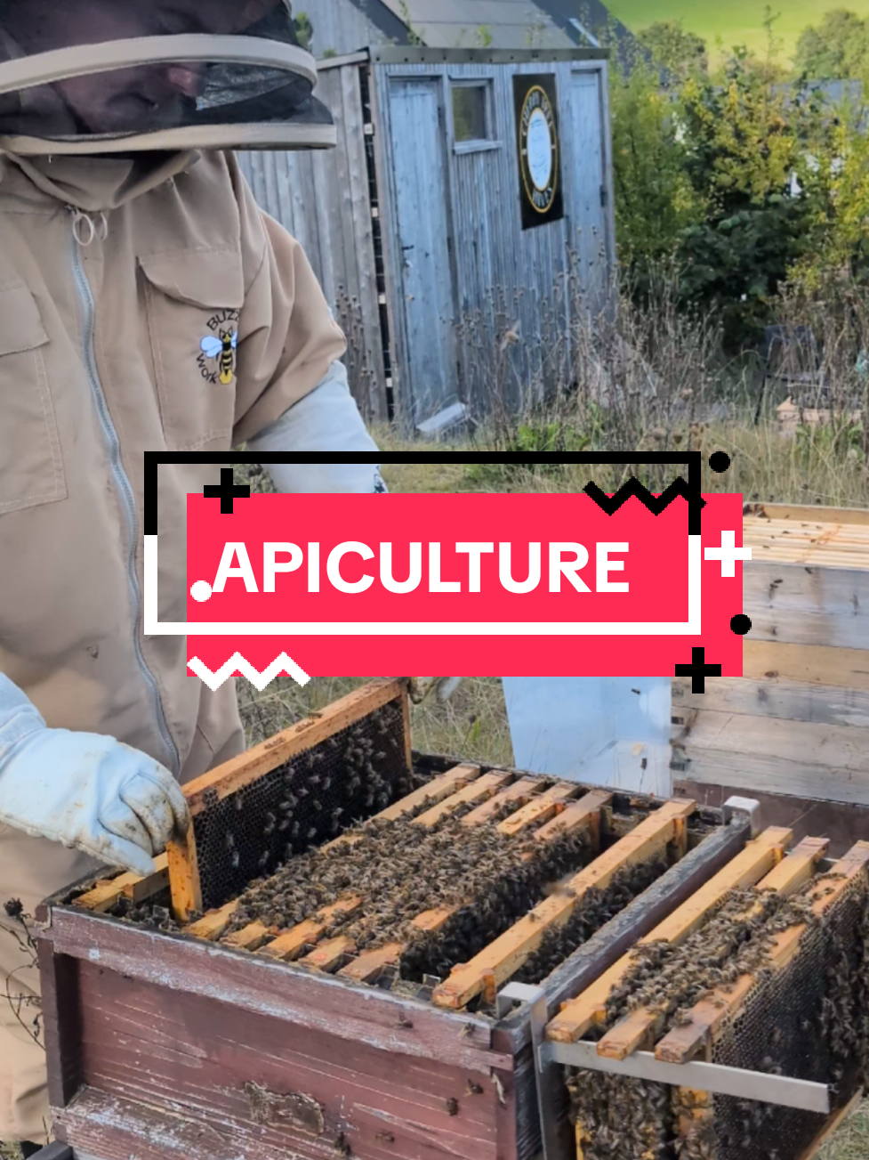 @Cherry Tree Hives