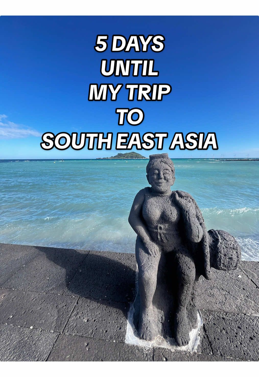 @theguthealthvoyager