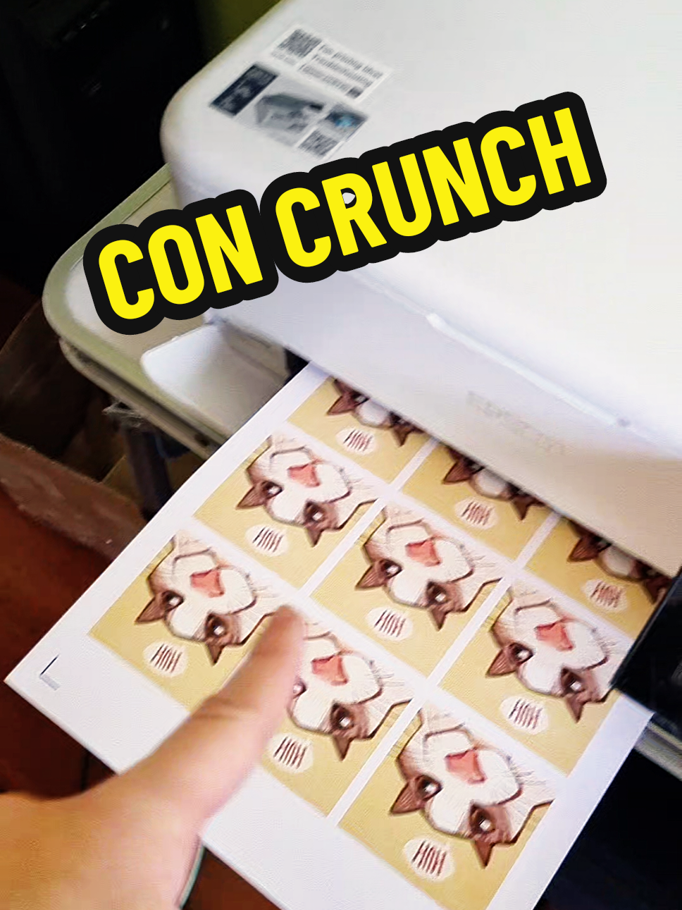 @Sluggy I merch shop + comms