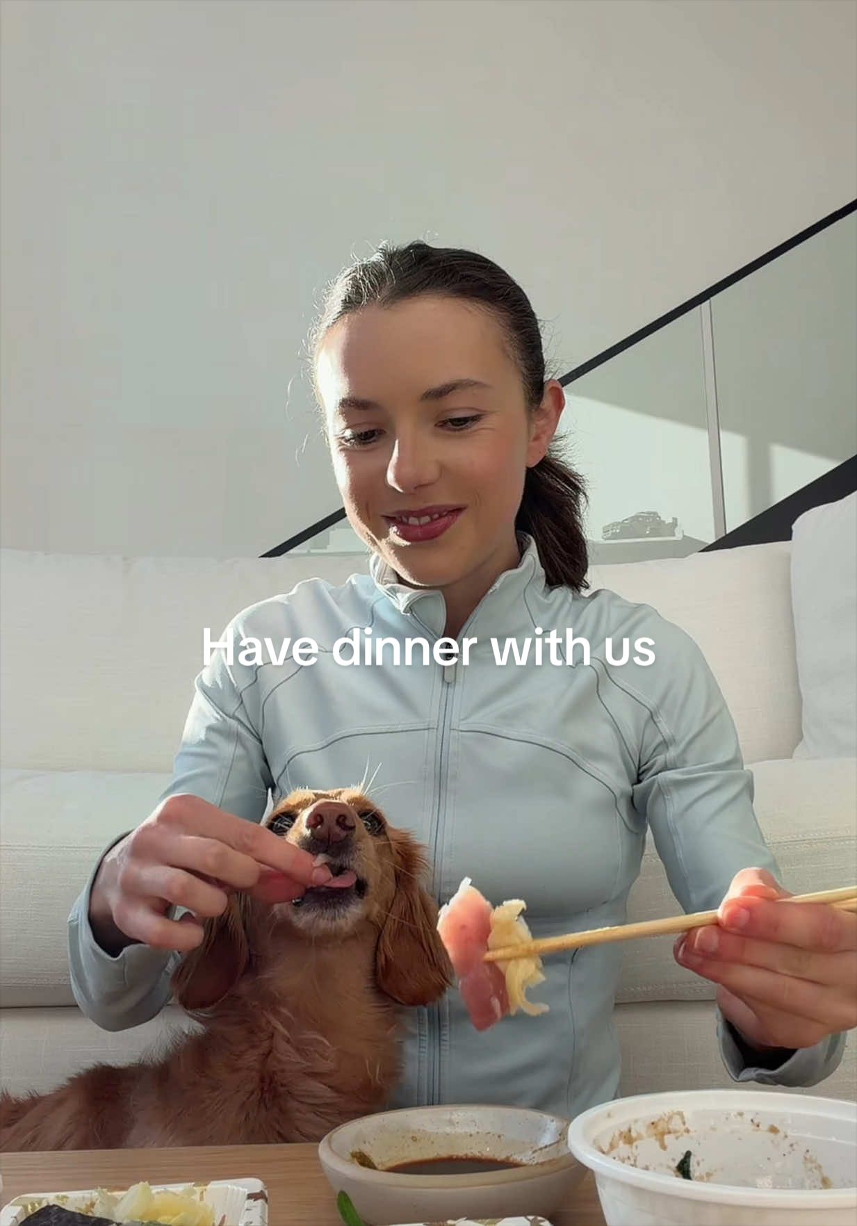 @cashewdachshund