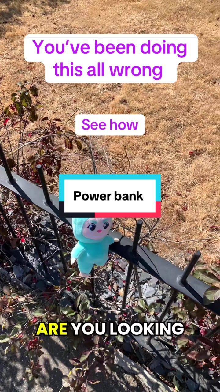 @percyfinds12