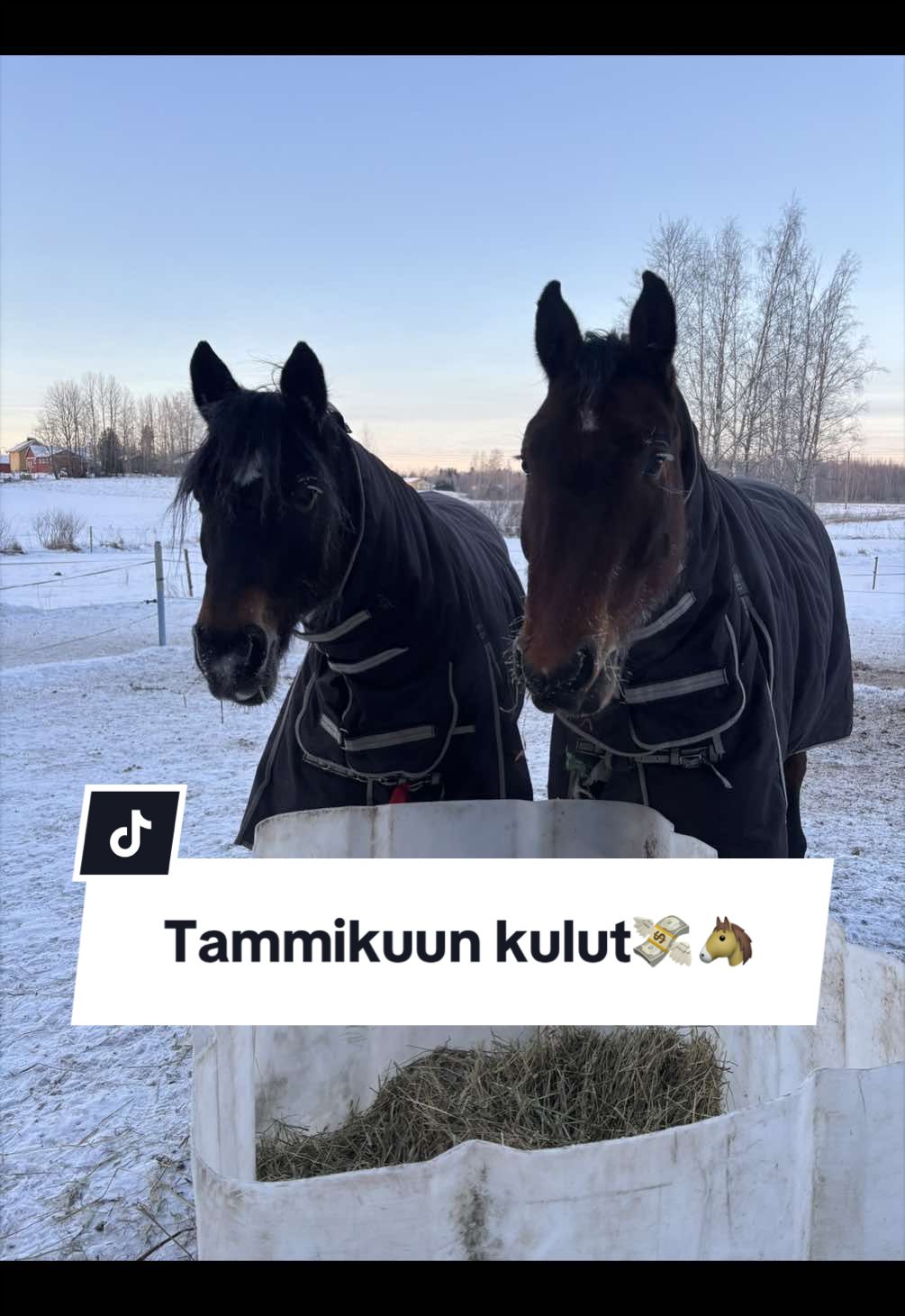 @Mansikkam&auml;ki Eventing