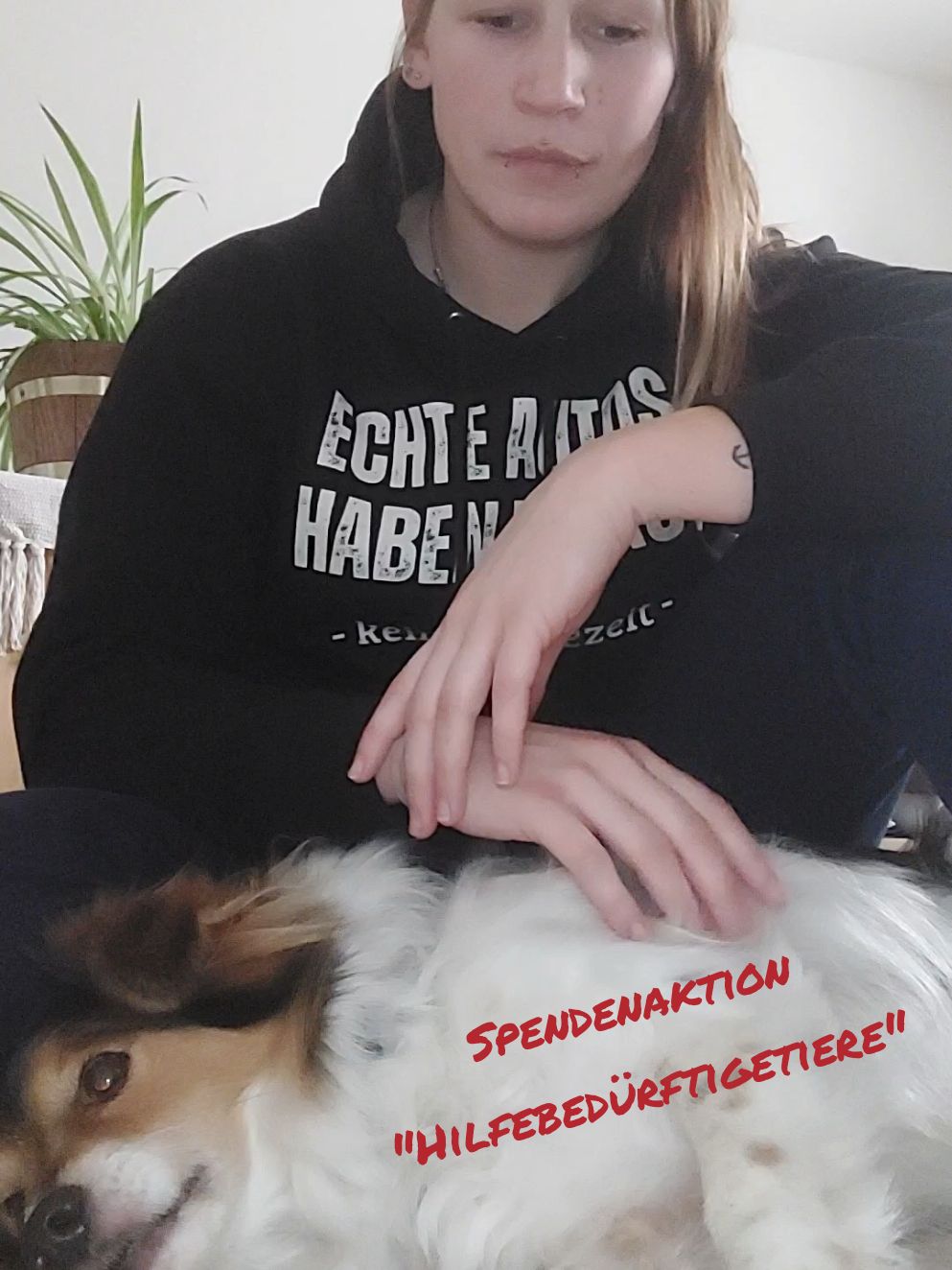 @FrauvomBau