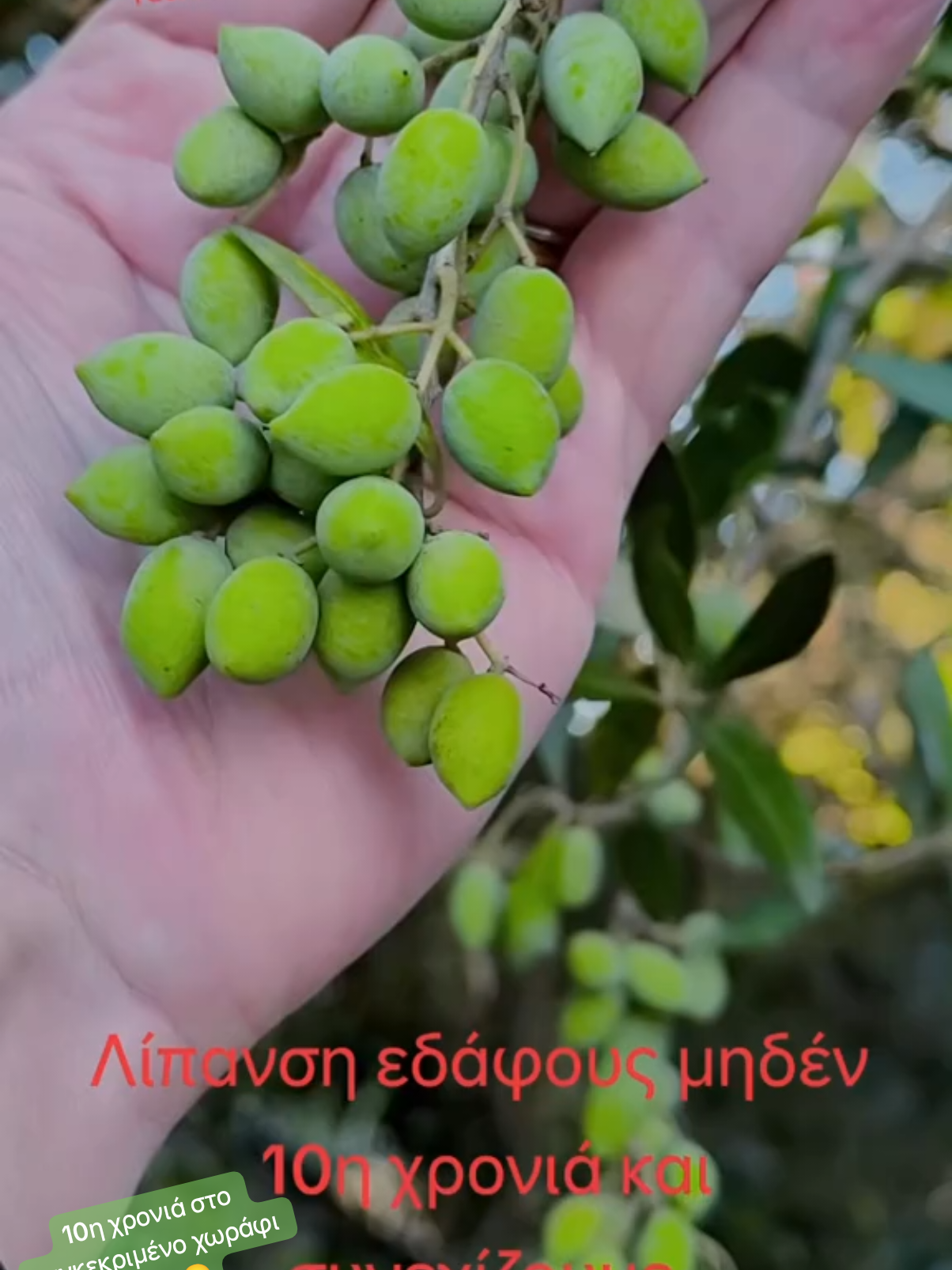 @Αγαλιανός Ιωάννης Γεωπόνος