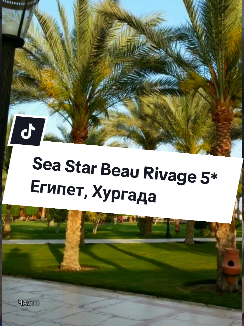@Anna Maria Franke