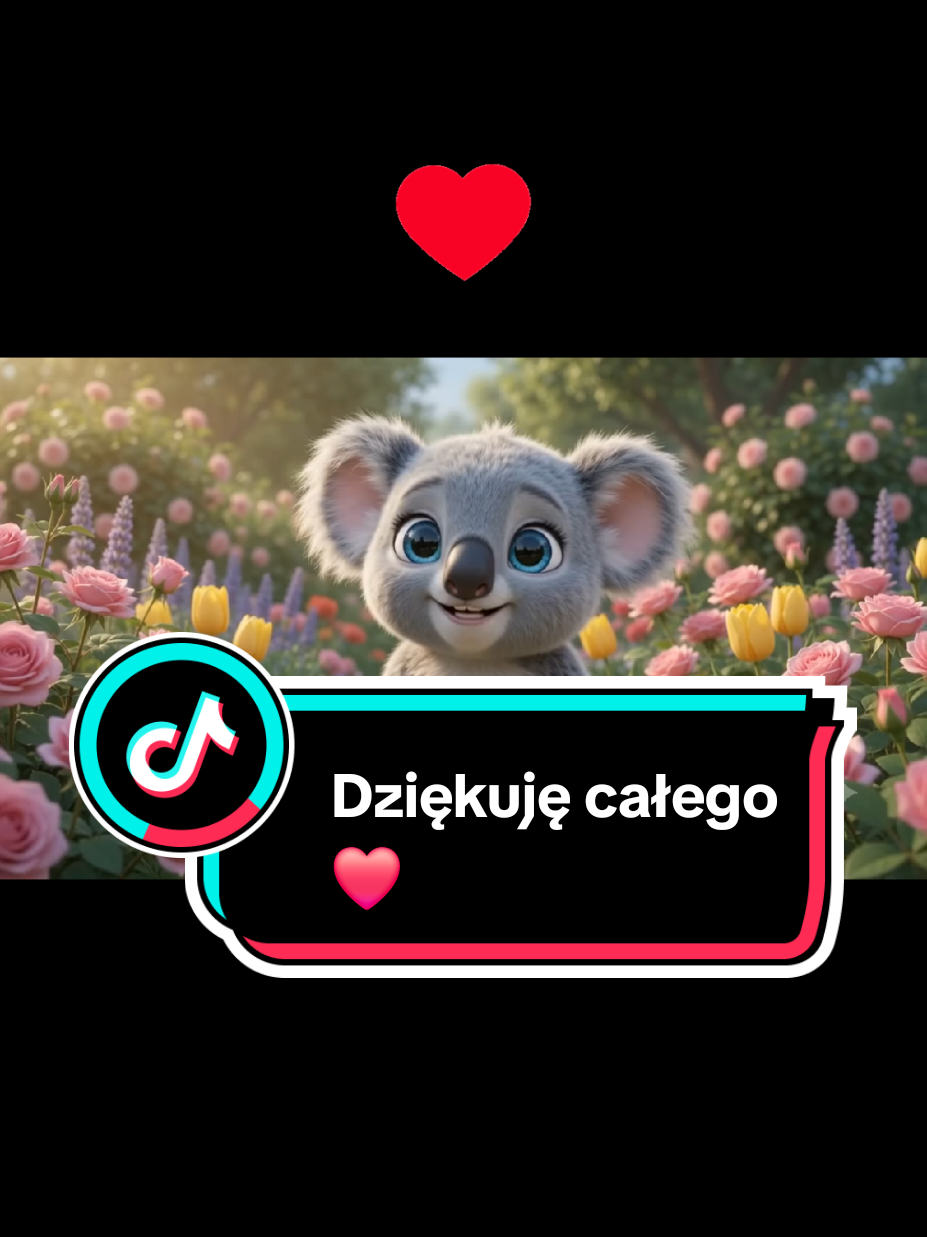 @Wesolutki Koala 🐨 😎