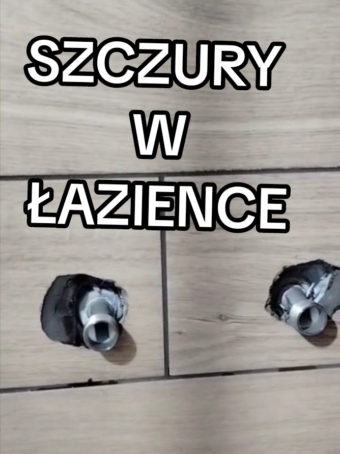 @wigoserwistv