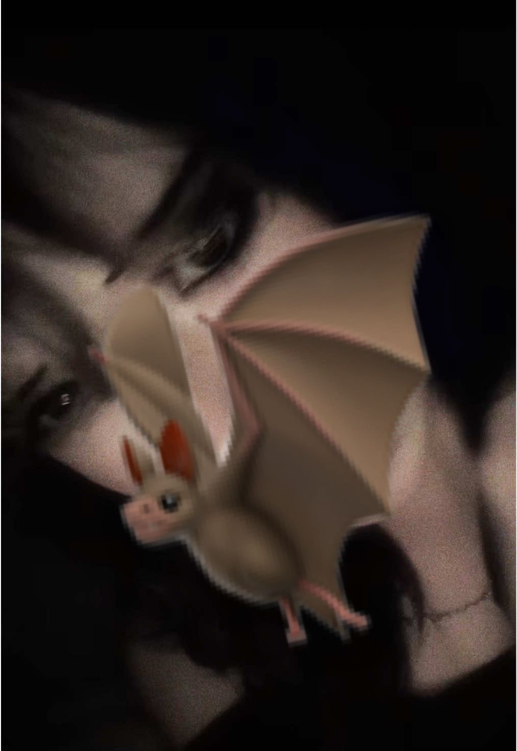 @๐๐ถ๐๐๐ถ๐๐๐
๐ถ๐