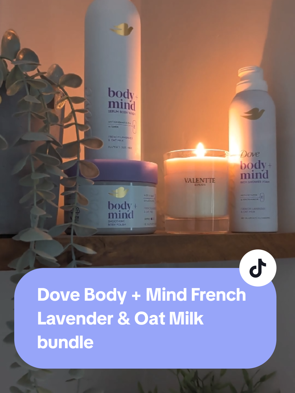 @Affiliate Annie's Adventures