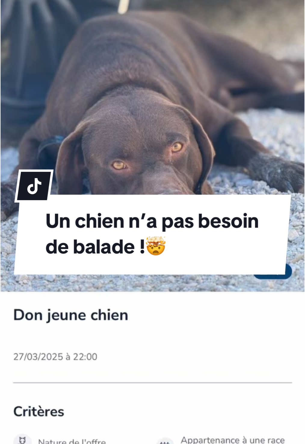 @urgence.annonce