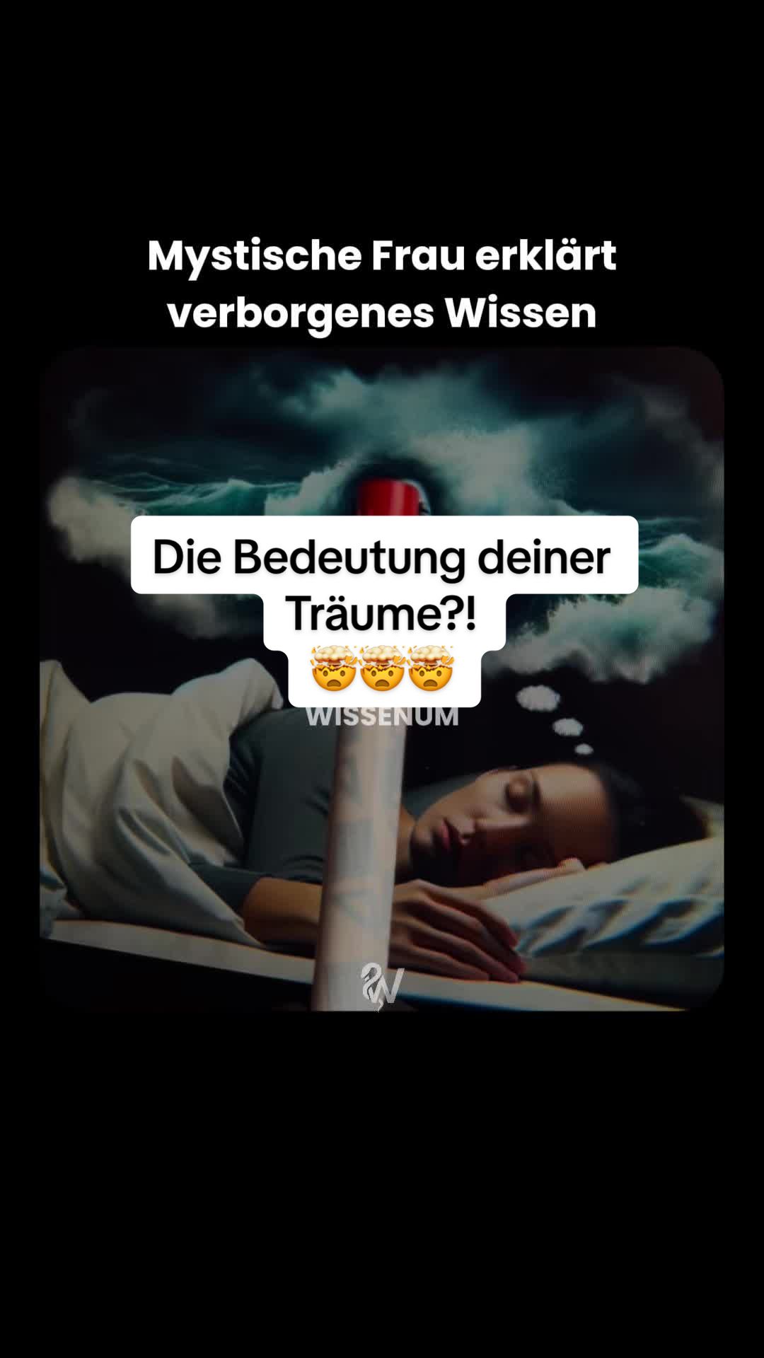 @thewissenum