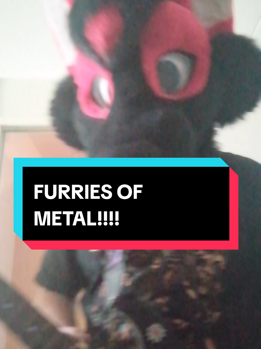 @Hikaji The Husky