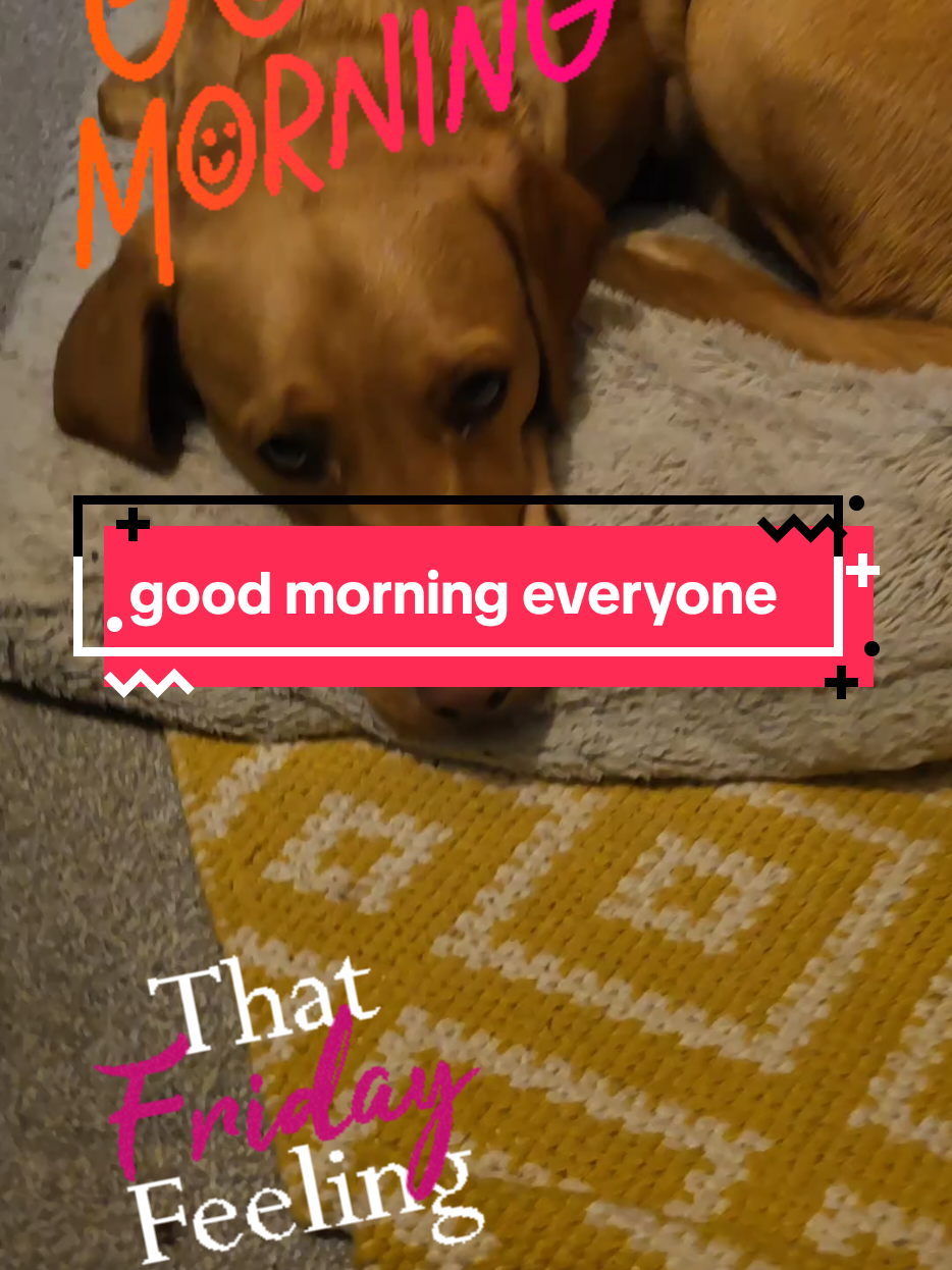 @🐶🐾🐾Bruno's Banaza 🐾🐾🐶