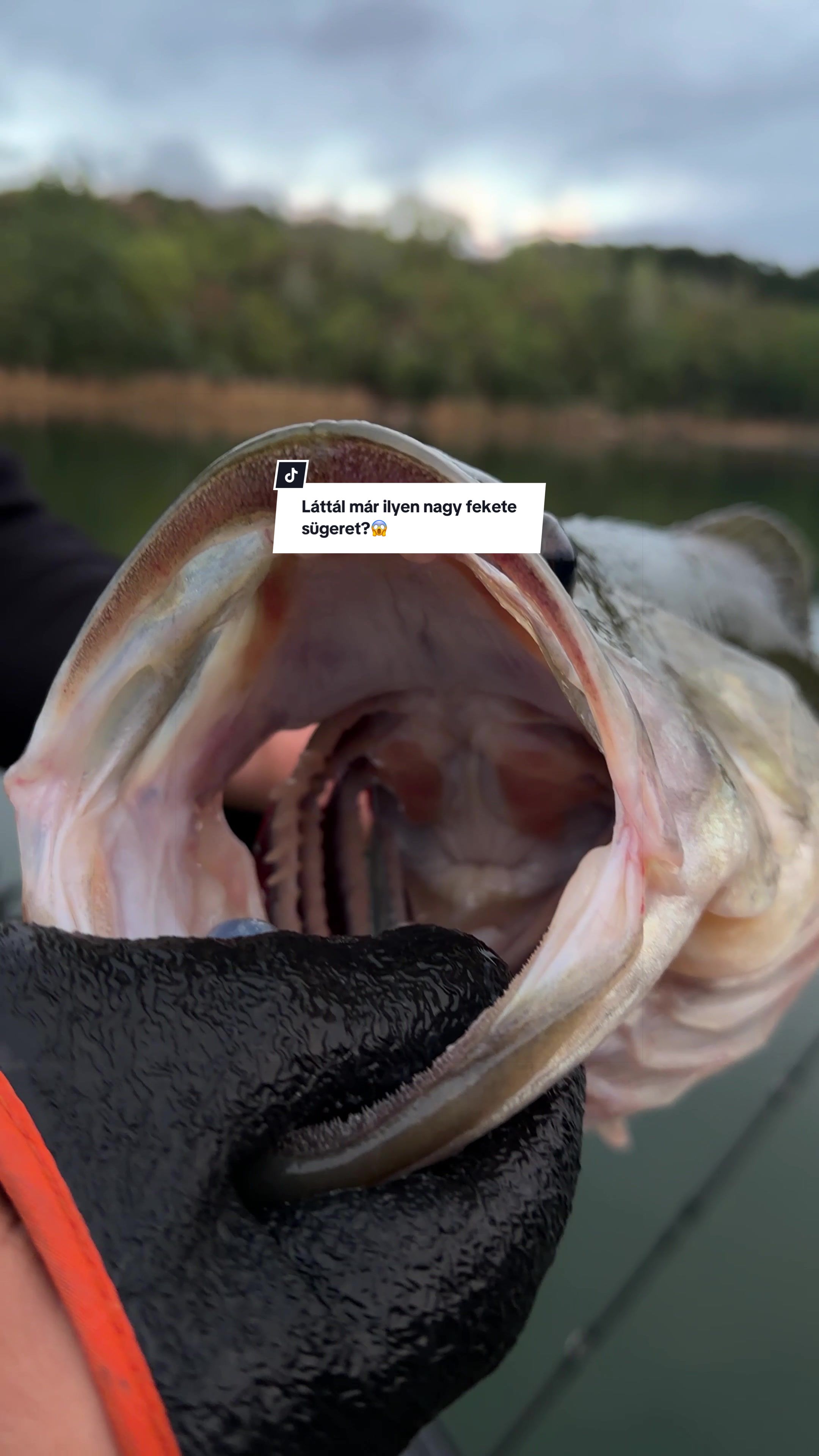 @fishing.couple