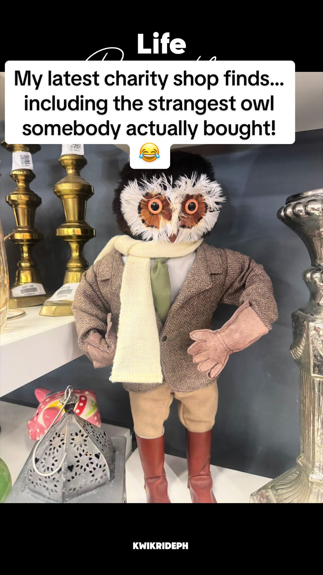 @venturavibed