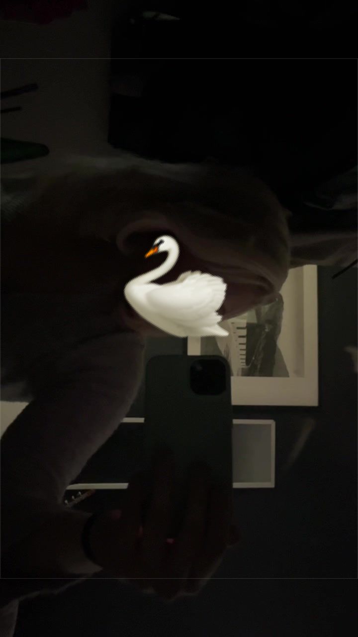 @Nova🦦