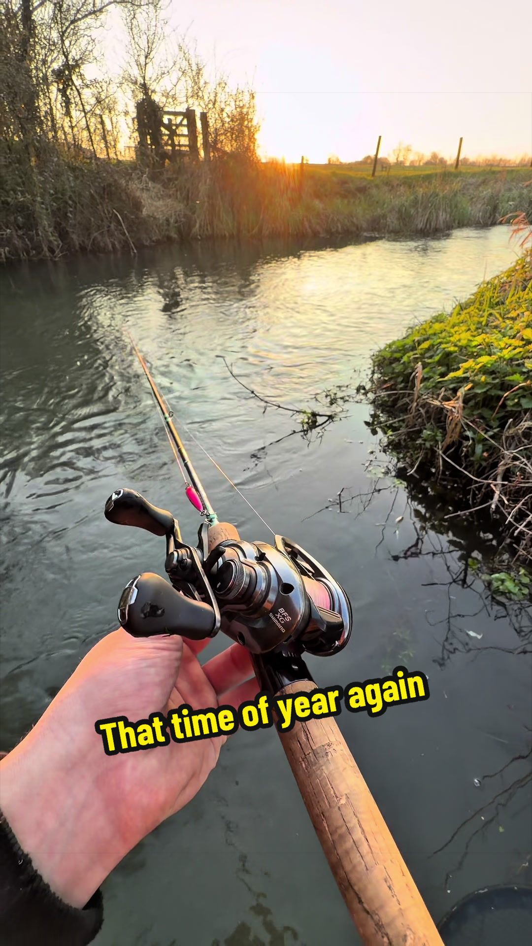 @Seantheprawn.v