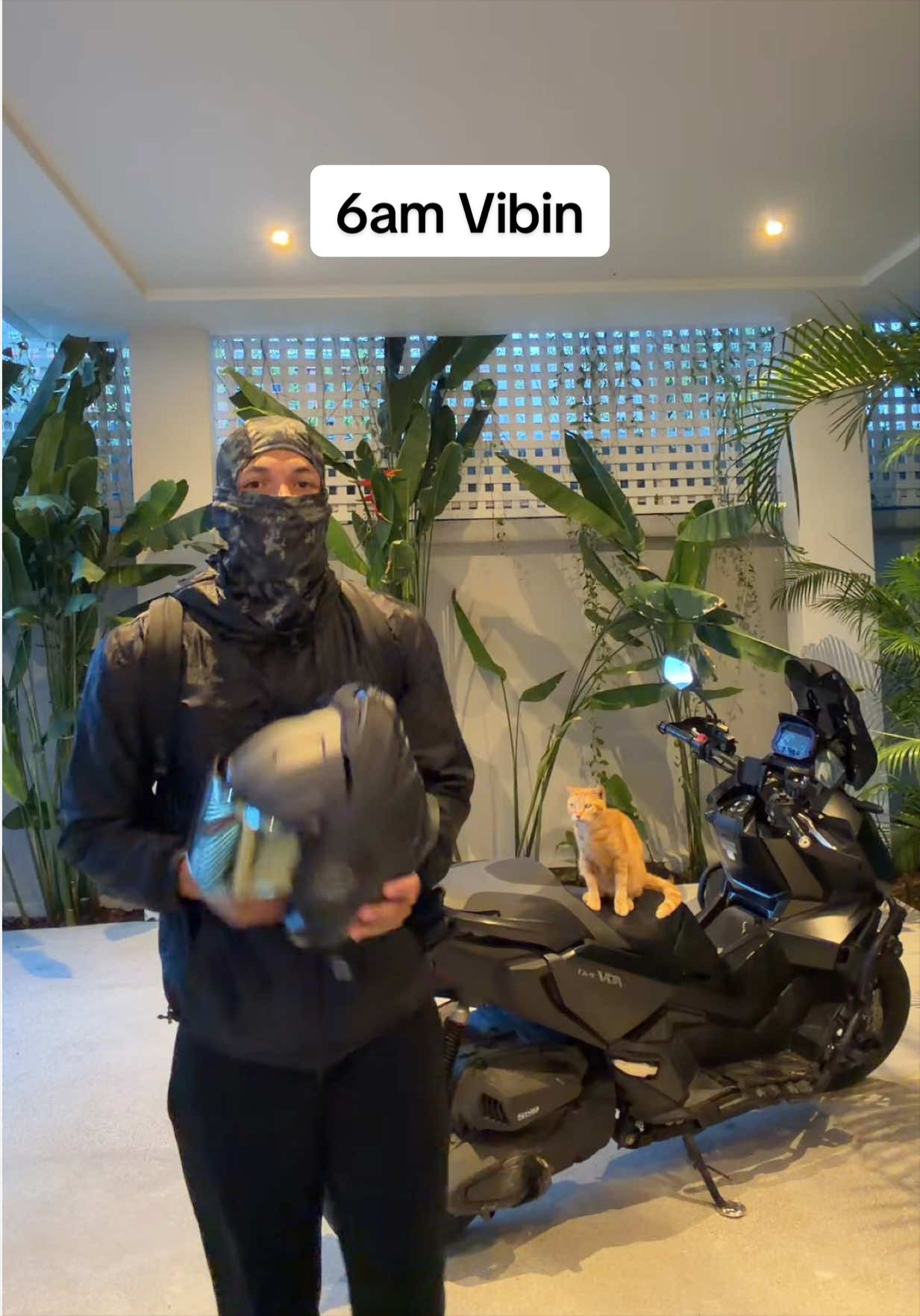 @Dontai