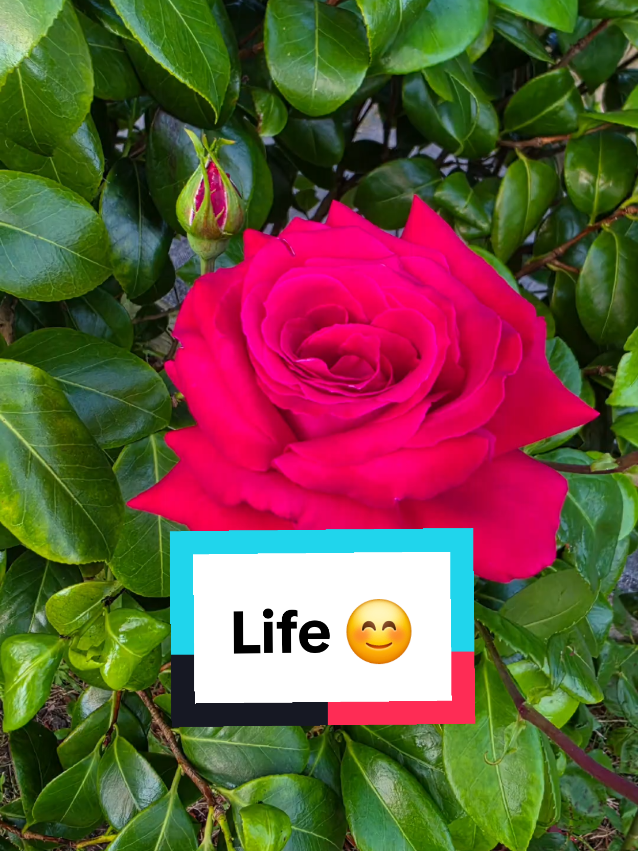 @Kunwelyy Finds ๐๏ธ