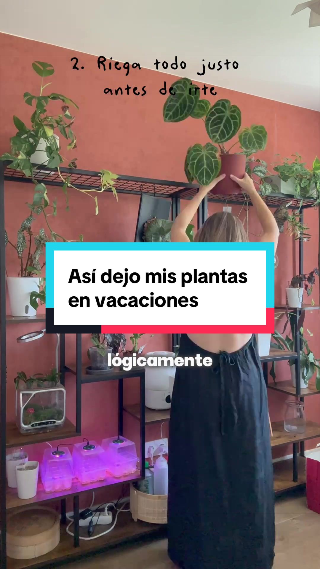 @🌱 En Abril Hojas Mil 🌱