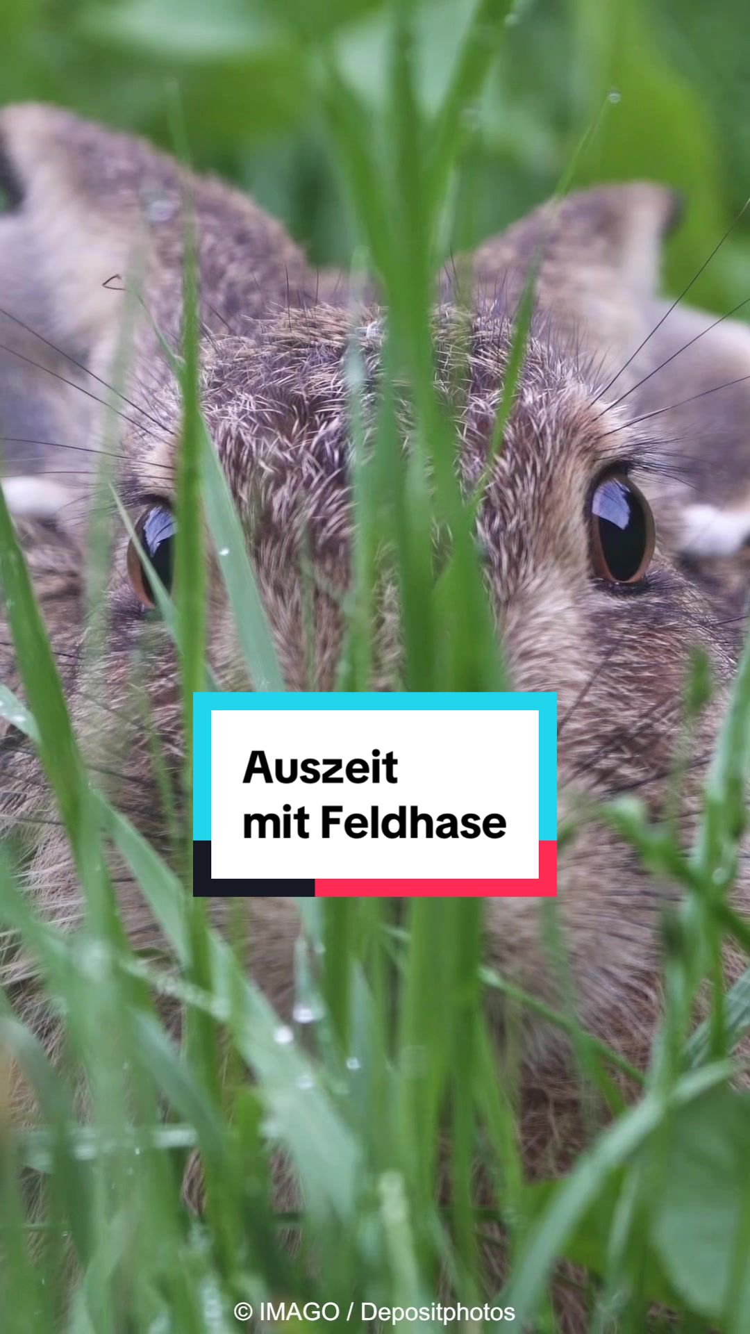 @WWF Schweiz