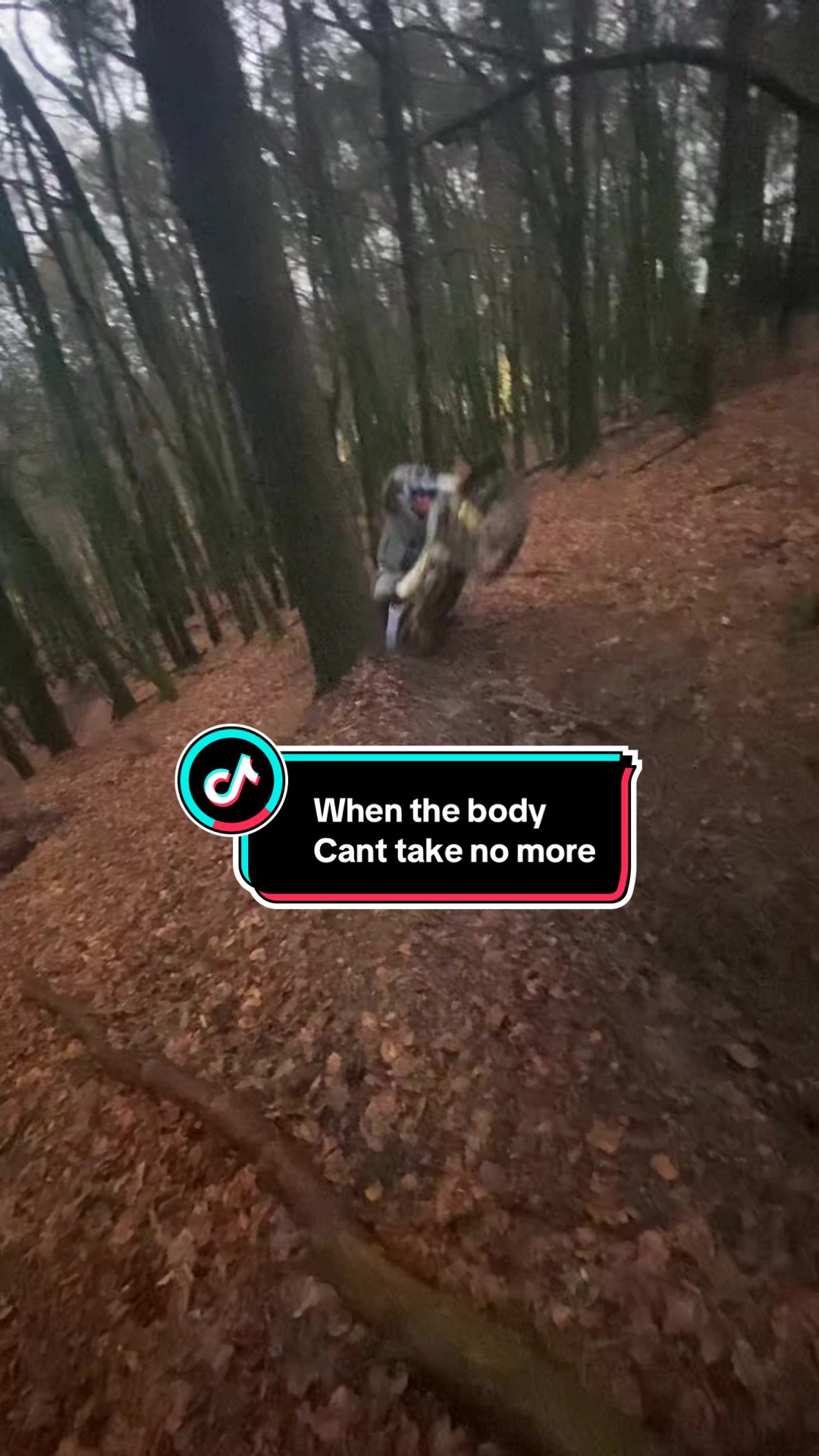@south wales enduro