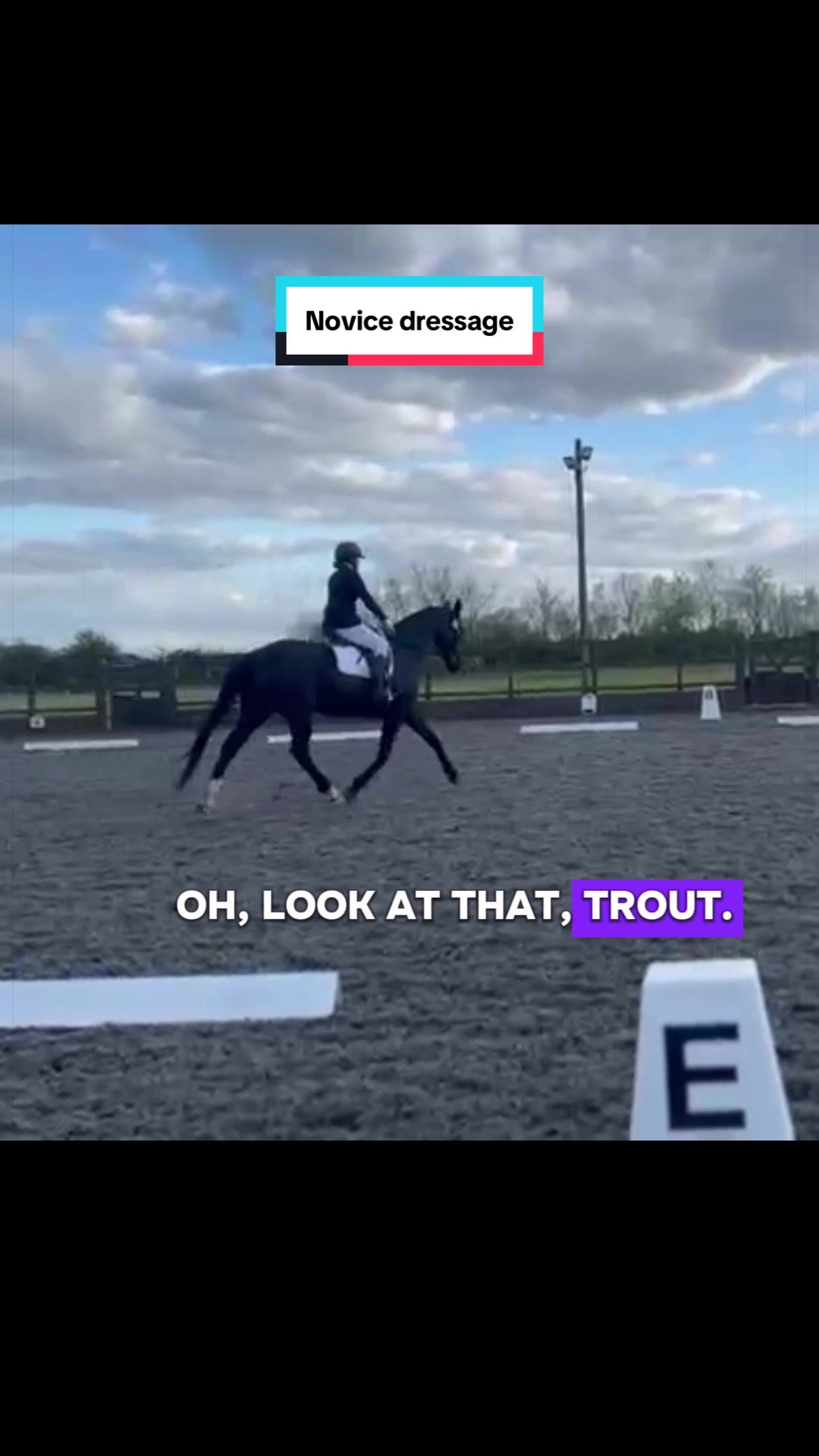 @Horses_with_Narni