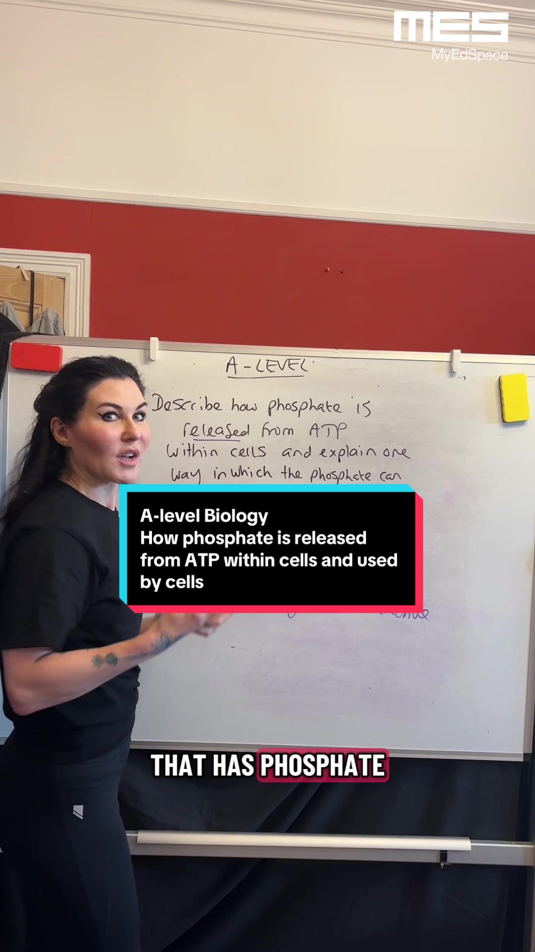 @MyEdSpace Biology