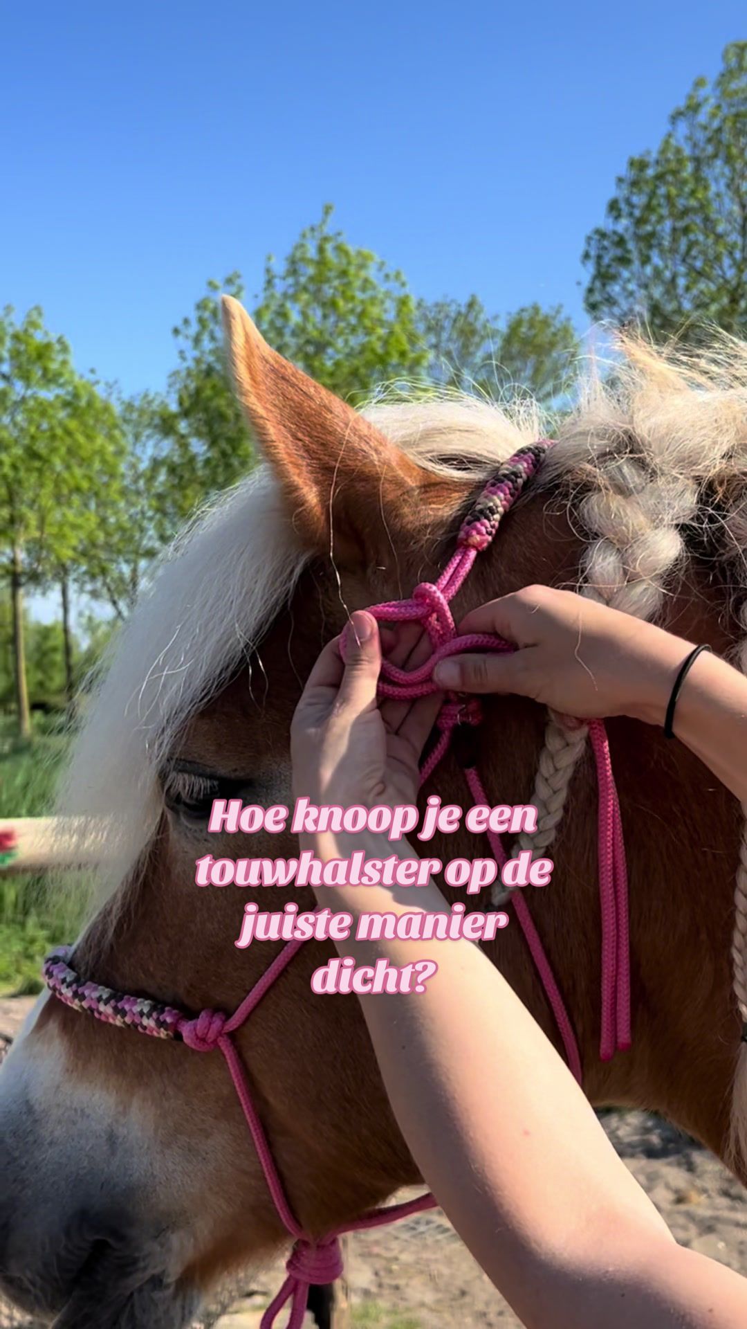 @horsecharms.com